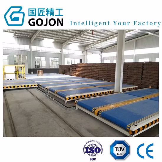 Storage Management Belt Pallet Rack Access Remote PLC Automatic Automated Feeding Control Detection Line Overhead Mining Handling Warehouse Conveyor System